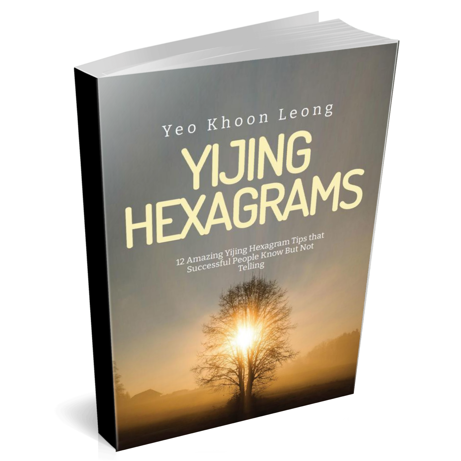 12 Yijing Hexagram Tips
