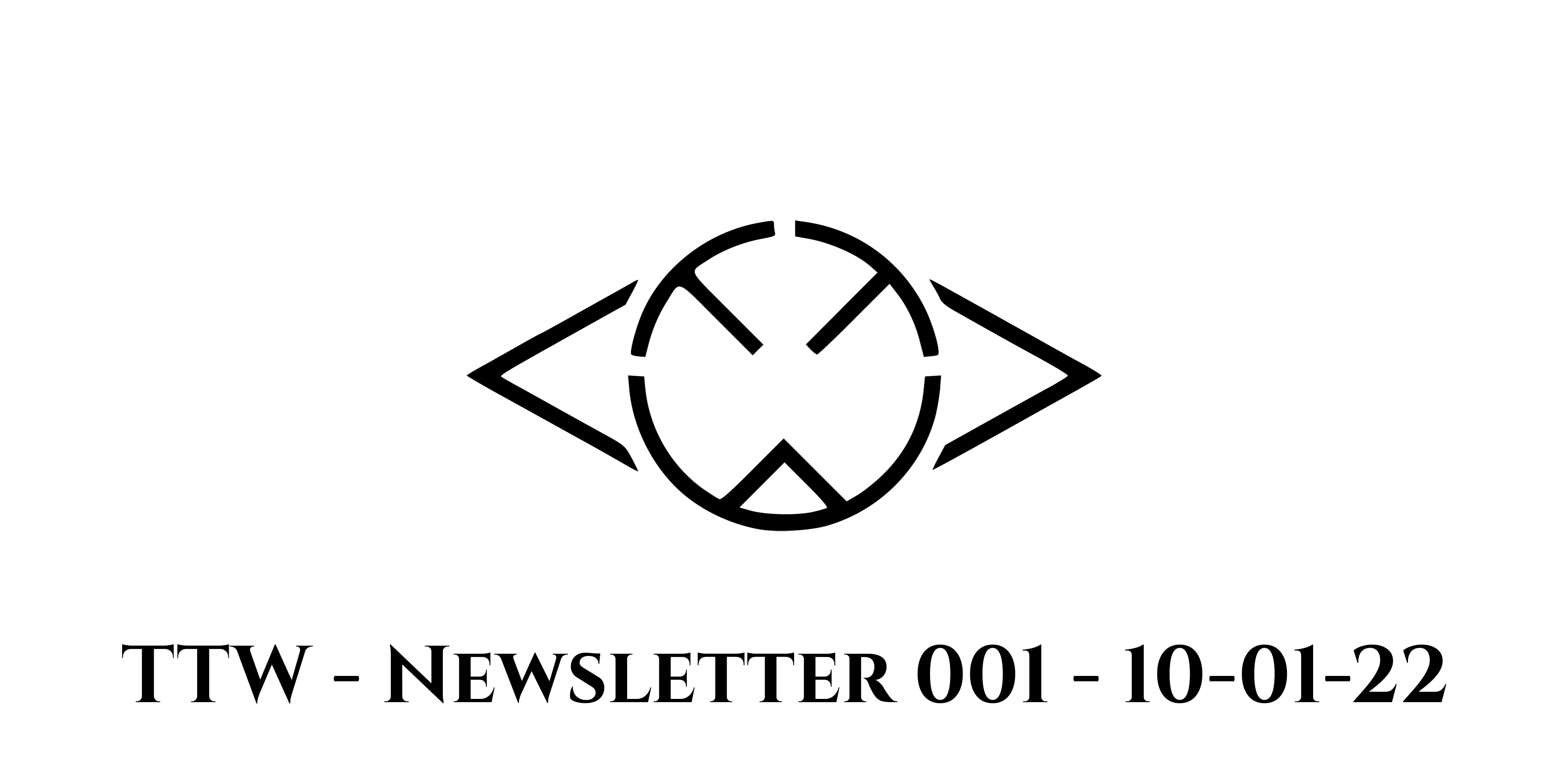 1df4803c taketheworld newsletter featured image