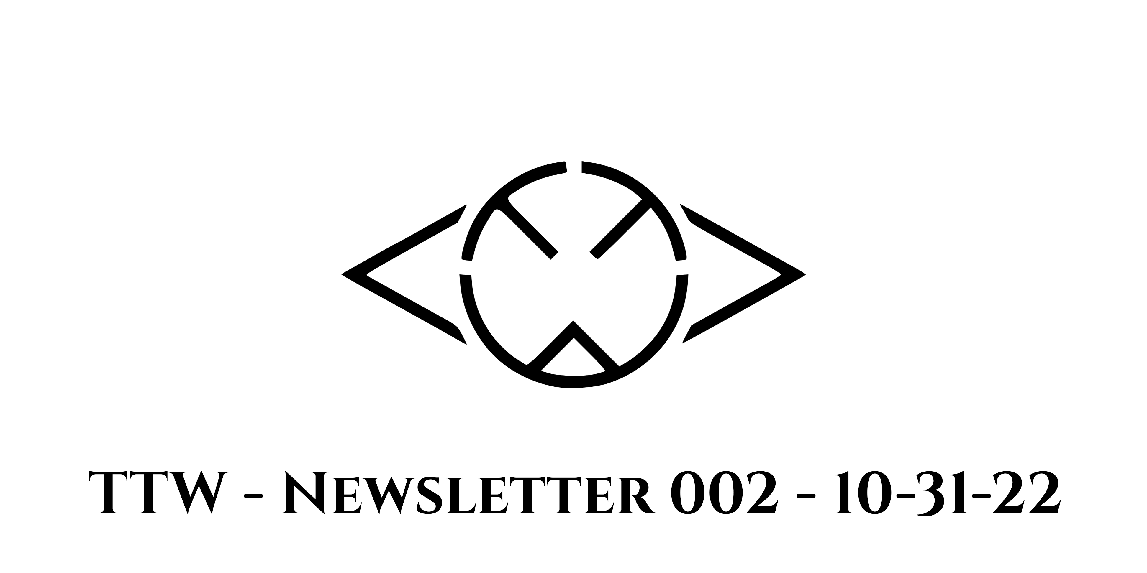 1a1b13ed taketheworld newsletter featured image 002