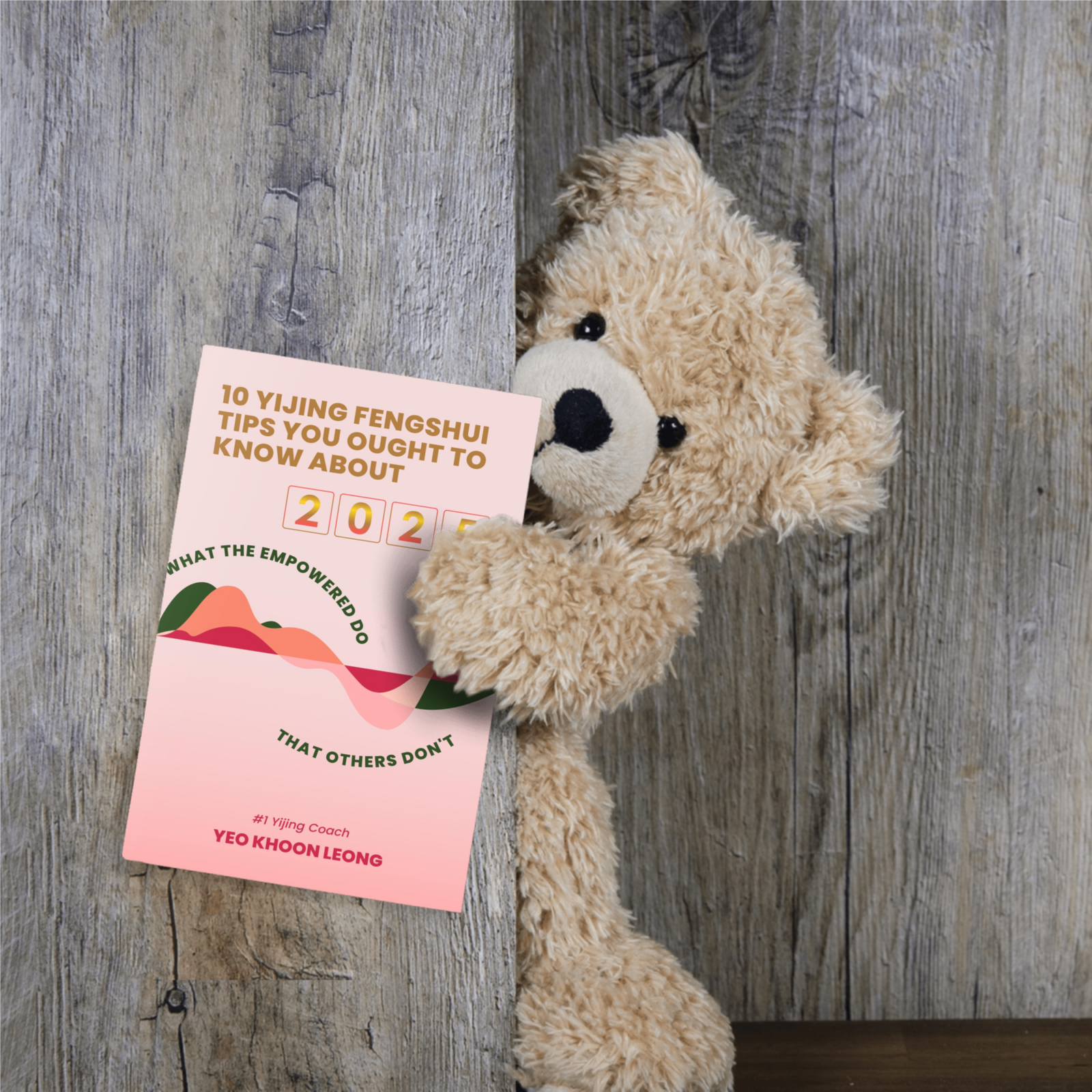 21ec8096 10fstips2025 mock 00812