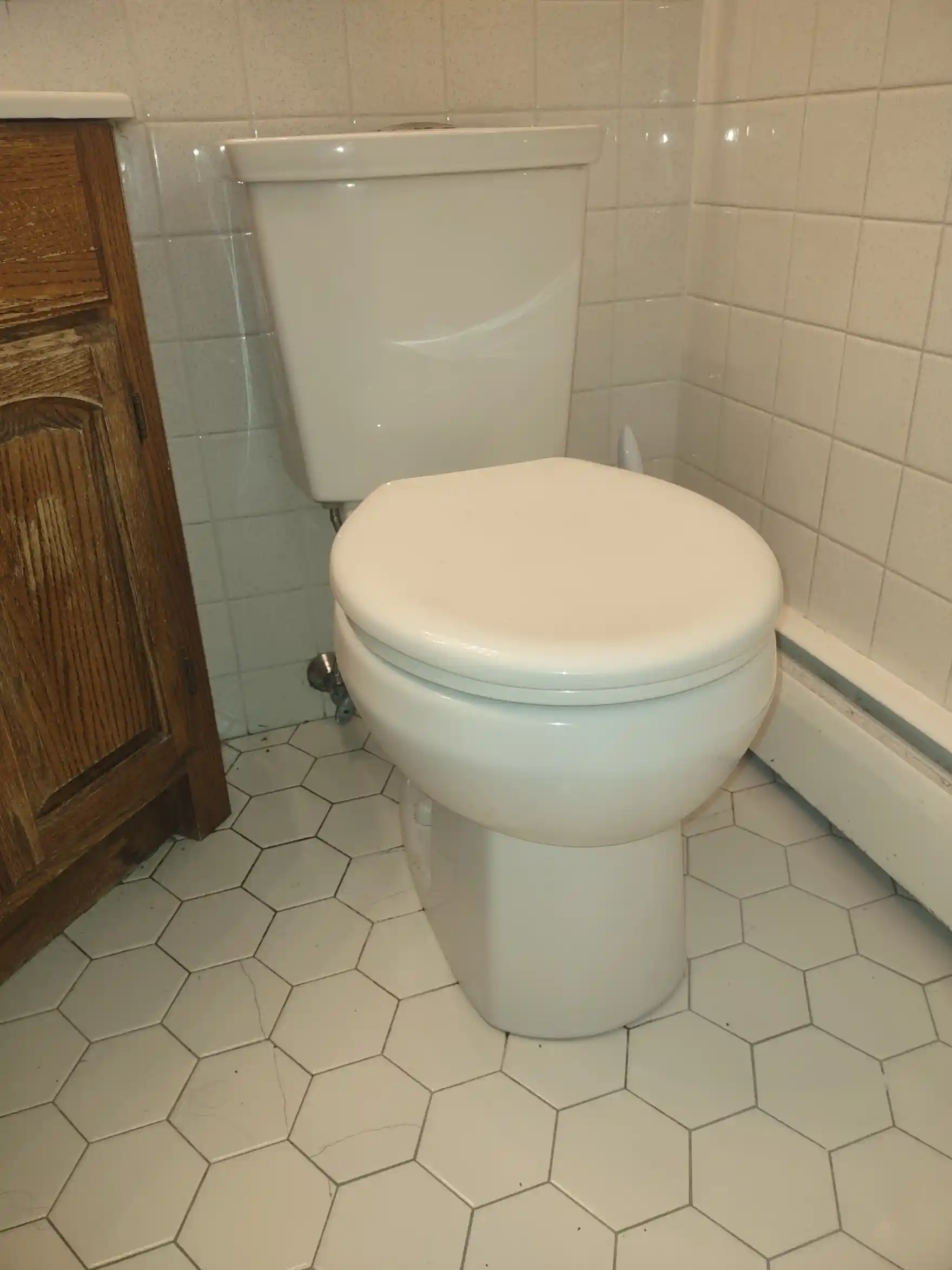 Pins 4 Toilet Leaking to Cellar – Faulty Wax Seal Repair | Hudson Plumber